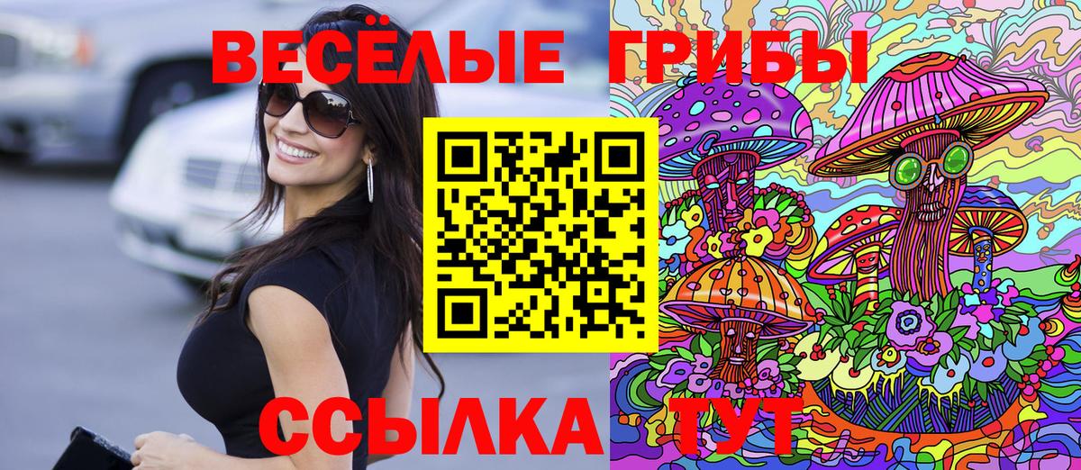 Домодедово  Псилоцибиновые грибы Psilocybe  где найти   Псилоцибиновые грибы ЛСД  Вход с VPN 